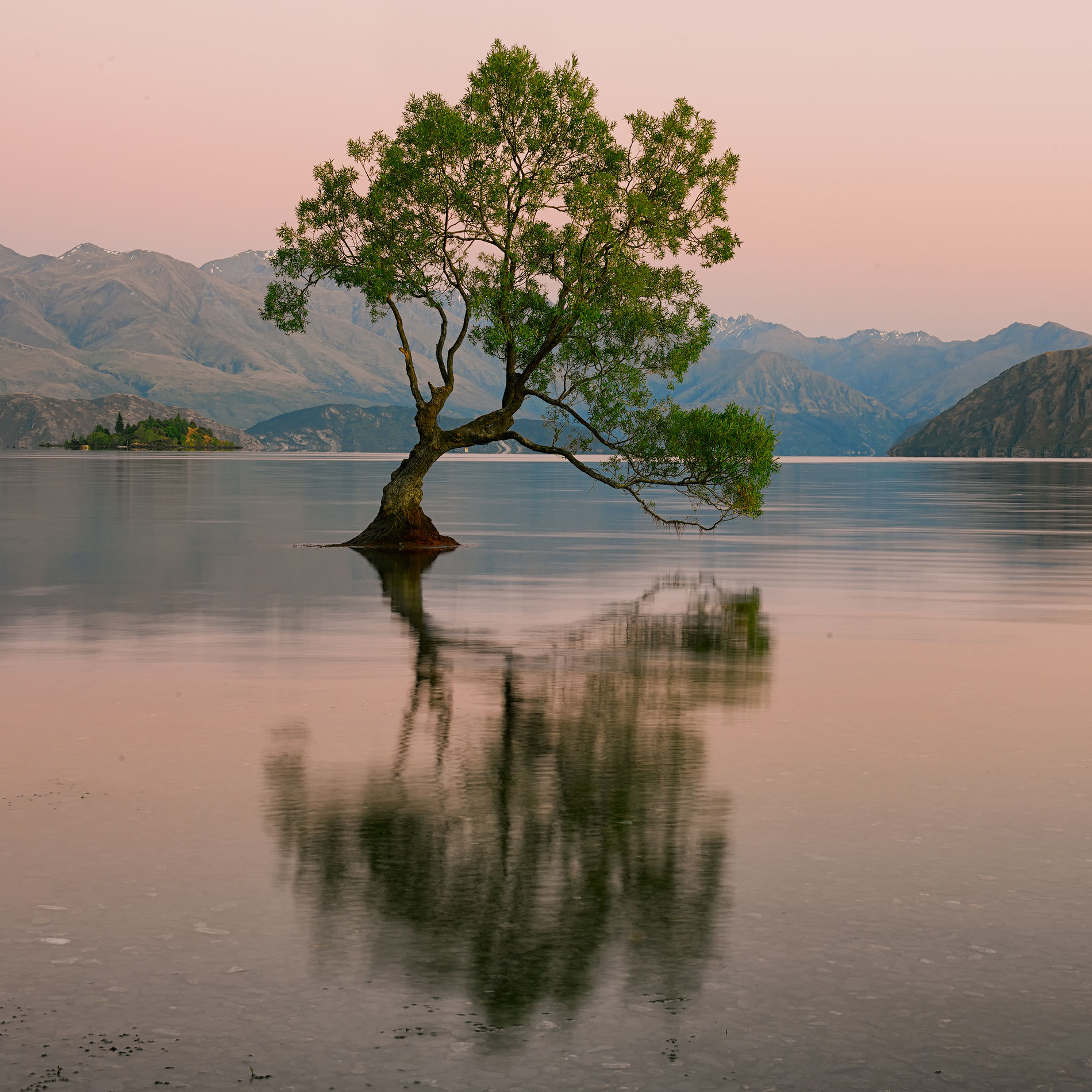 The iconic Wanaka Tree stands alone, rooted in the tranquil waters of Lake Wanaka, New Zealand, with a serene mountain backdrop bathed in the soft hues of dusk. This image captures the peaceful solitude of the scene, reflecting the tree&rsquo;s enduring presence against the fleeting colors of the setting sun. It&rsquo;s a timeless symbol of resilience and natural beauty, inviting contemplation and wonder.
