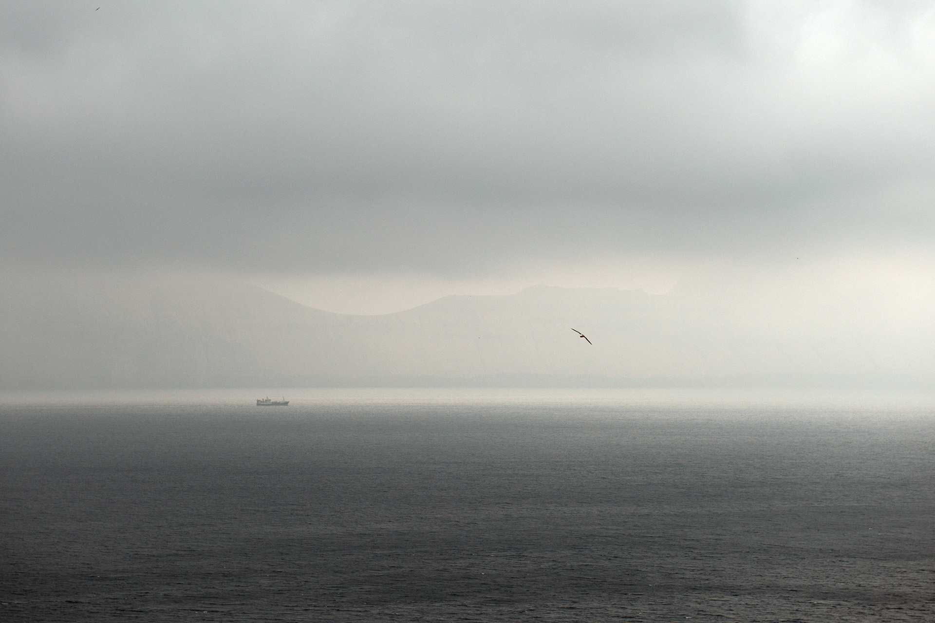 The image captures a solitary ship sailing the misty waters of the Faroe Islands, with dramatic cliffs looming in the background. The quiet majesty of the scene is heightened by the seagull in flight, symbolizing the freedom of nature amidst the vastness of the North Atlantic Ocean.